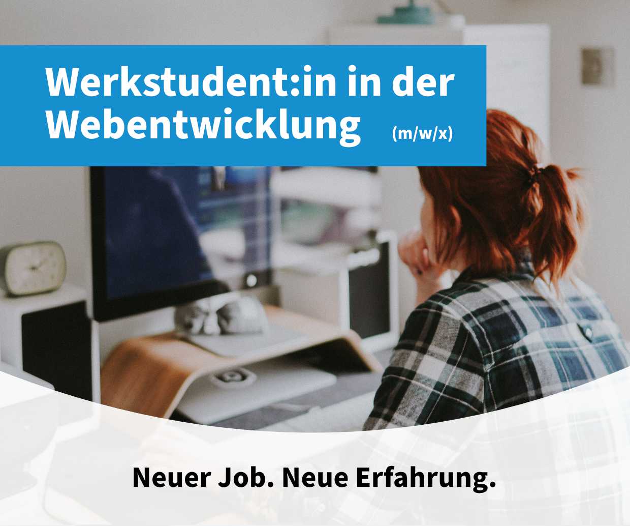 Werkstudent:in Webentwicklung